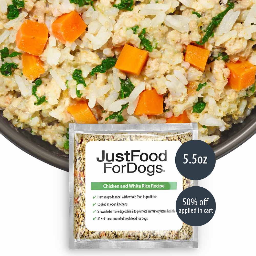 Rice and dog food mix cheap